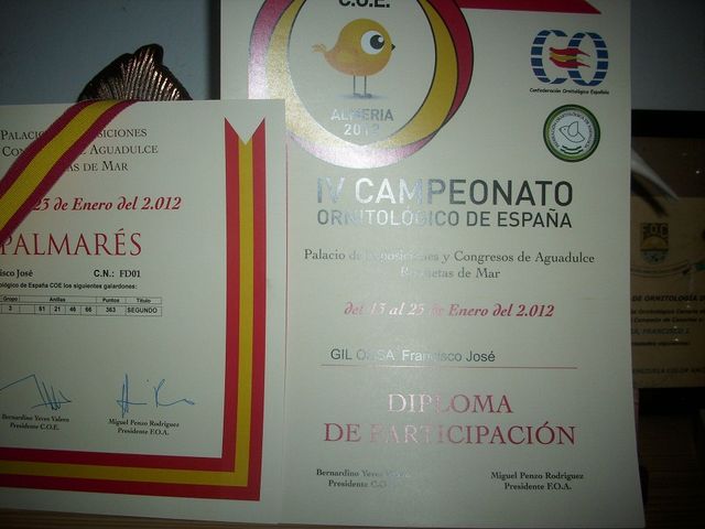 Diplomas del mundial y nacional de Almería 2012